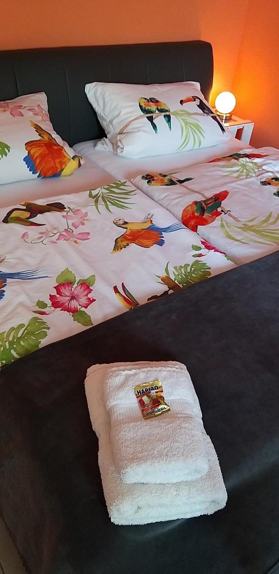 Ferienwohnung Am Backhausgarten 弗隆海姆 外观 照片